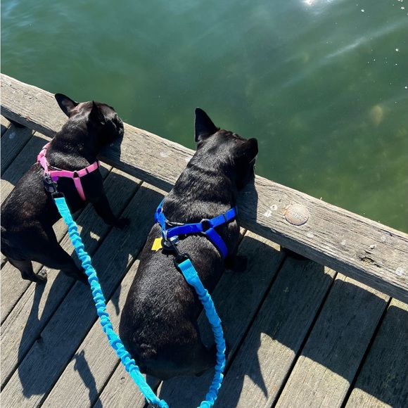 Meet your Posher, Brieann - Picture 4 of 6